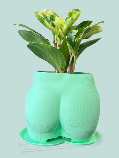Butt Planter