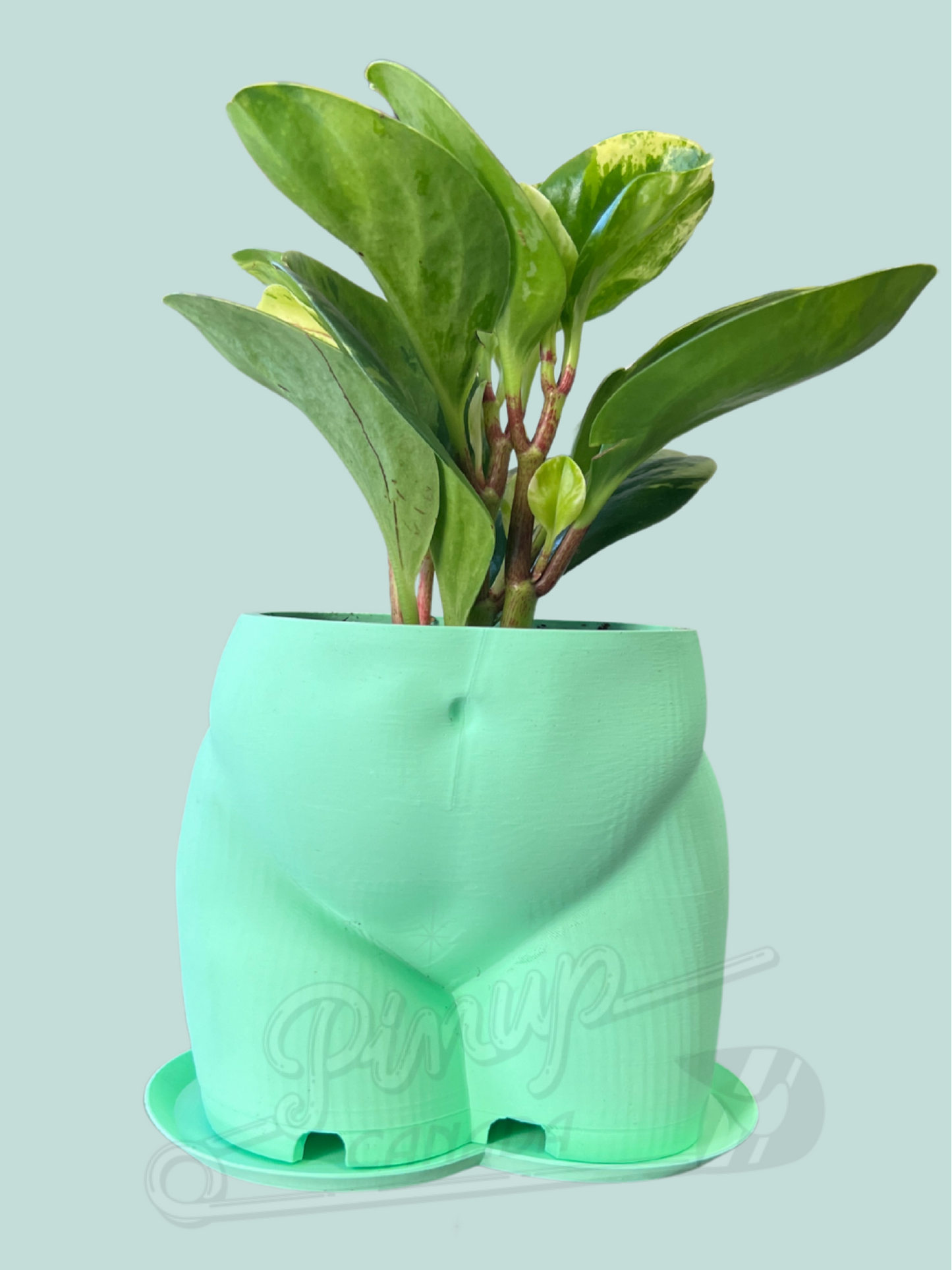 Butt Planter